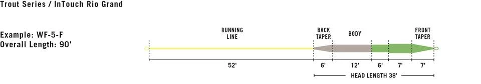 Rio Grand Elite 5 Rio Grand Elite - Image 3